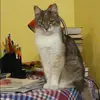 Отзыв от Эмилия Платонова